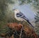 82412c_mockingbird_10_x_10_watercolor
