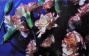 20469_kattman_r_12_x_18