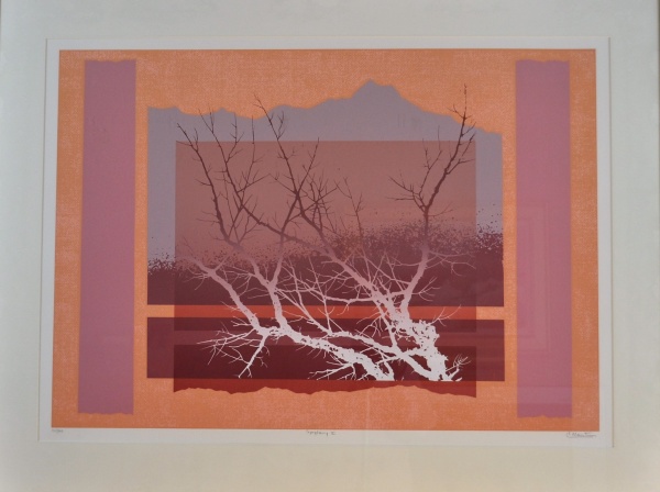 05552_martin_25_x_34