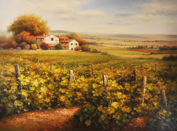 44287_austined_vineyard_and_farmhouse