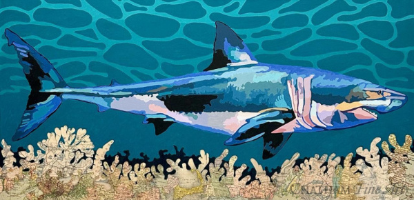 83157c_amende_shark_series_3-24_24x48_75988718