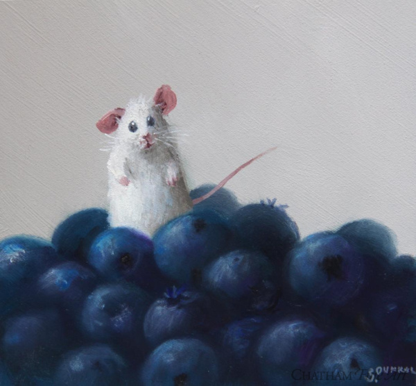 83381c_blueberry_hill_5x5
