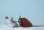 82463c_hunting_strawberry_5x7_